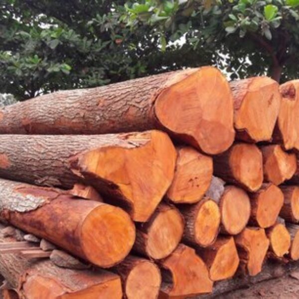 mahogany